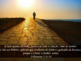 /album/galeria-de-fotos-/a3564-jpg/